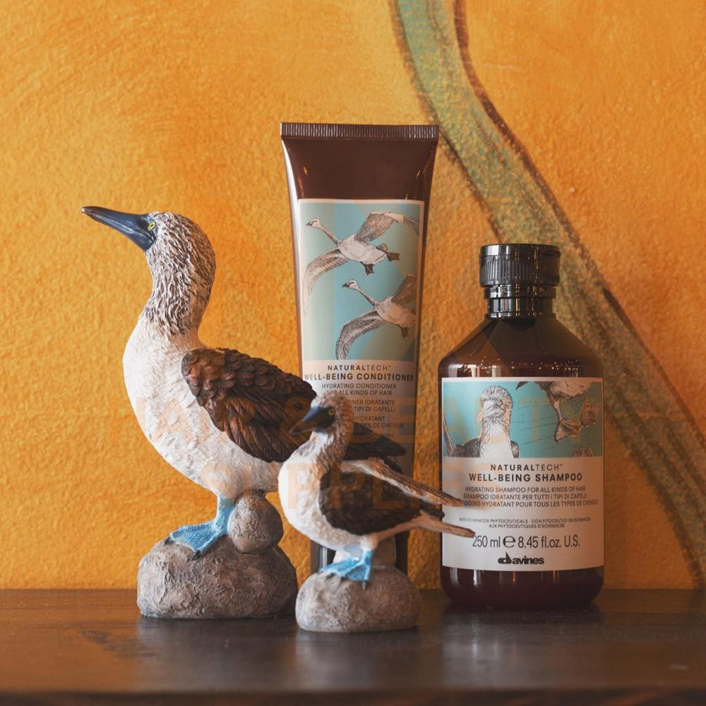 DAVINES – WELL-BEING SHAMPOO – 1L