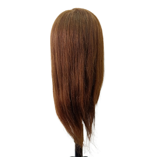 MANNEQUIN HEAD – DISHIROU – AC20R